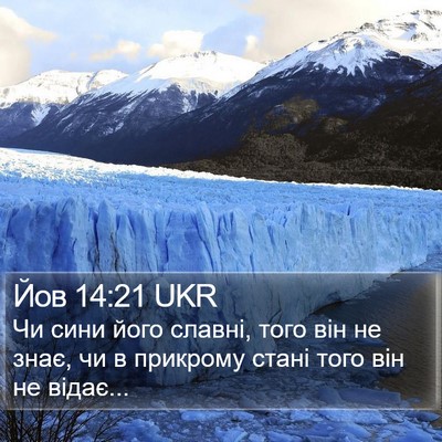 Йов 14:21 UKR Bible Verse Image