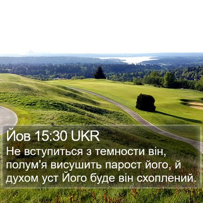 Йов 15:30 UKR Bible Verse Image