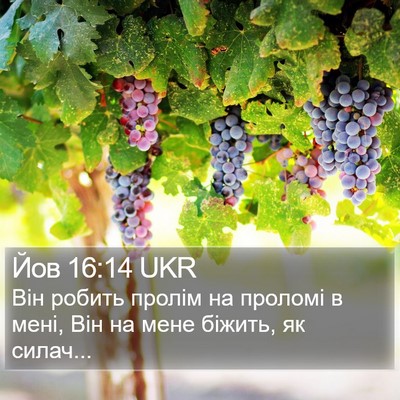 Йов 16:14 UKR Bible Verse Image