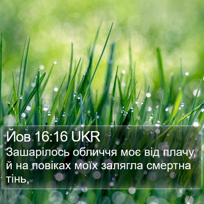 Йов 16:16 UKR Bible Verse Image