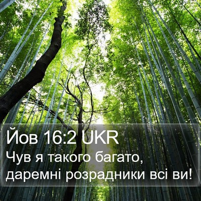 Йов 16:2 UKR Bible Verse Image