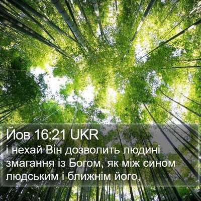 Йов 16:21 UKR Bible Verse Image