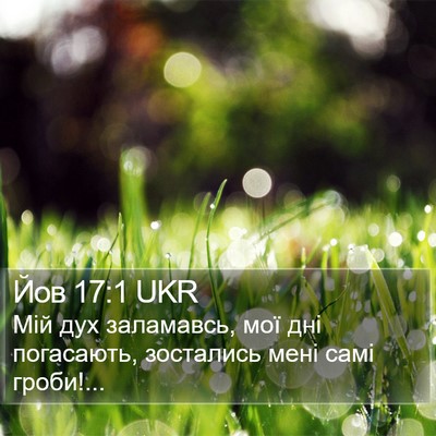 Йов 17:1 UKR Bible Verse Image