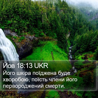 Йов 18:13 UKR Bible Verse Image