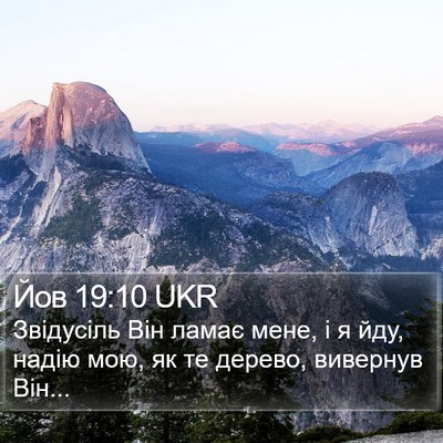 Йов 19:10 UKR Bible Verse Image