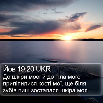 Йов 19:20 UKR Bible Verse Image