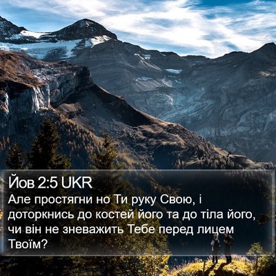 Йов 2:5 UKR Bible Verse Image