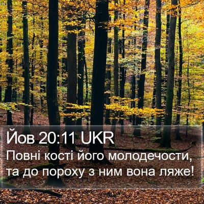 Йов 20:11 UKR Bible Verse Image