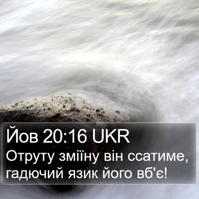 Йов 20:16 UKR Bible Verse Image