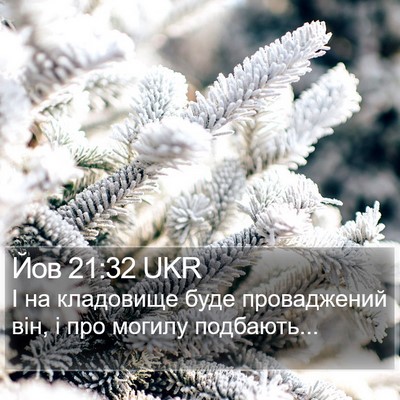 Йов 21:32 UKR Bible Verse Image
