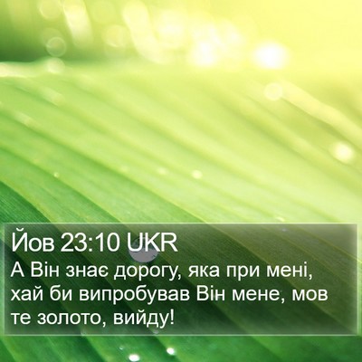 Йов 23:10 UKR Bible Verse Image