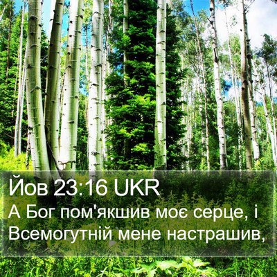 Йов 23:16 UKR Bible Verse Image