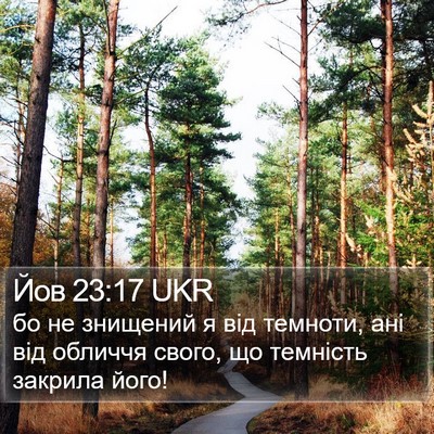 Йов 23:17 UKR Bible Verse Image