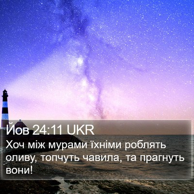 Йов 24:11 UKR Bible Verse Image