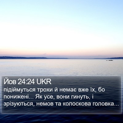 Йов 24:24 UKR Bible Verse Image