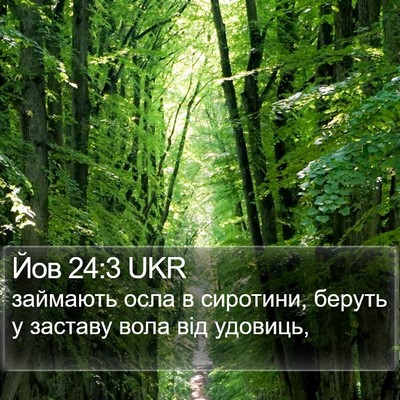 Йов 24:3 UKR Bible Verse Image
