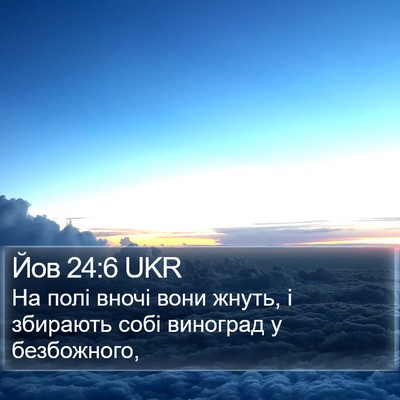 Йов 24:6 UKR Bible Verse Image