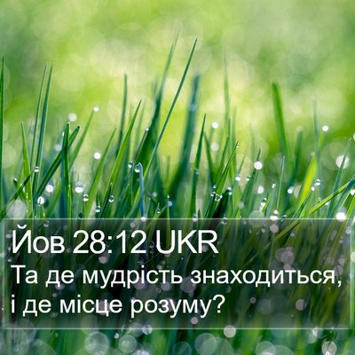 Йов 28:12 UKR Bible Verse Image