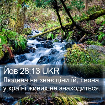 Йов 28:13 UKR Bible Verse Image