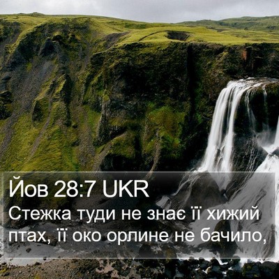 Йов 28:7 UKR Bible Verse Image