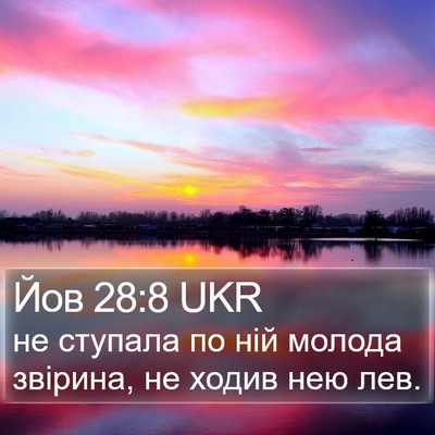 Йов 28:8 UKR Bible Verse Image