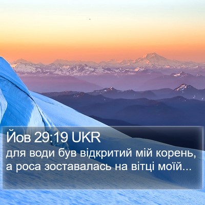 Йов 29:19 UKR Bible Verse Image