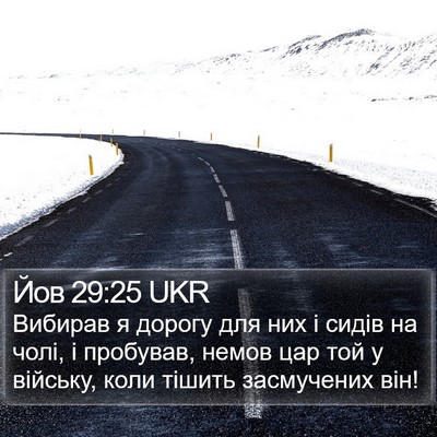 Йов 29:25 UKR Bible Verse Image