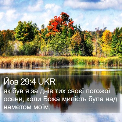 Йов 29:4 UKR Bible Verse Image