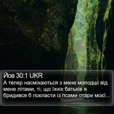 Йов 30:1 UKR Bible Verse Image