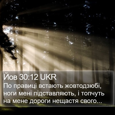 Йов 30:12 UKR Bible Verse Image