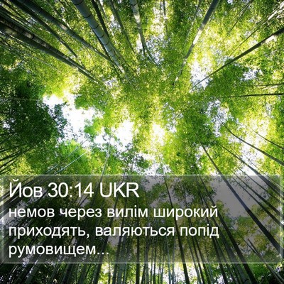 Йов 30:14 UKR Bible Verse Image