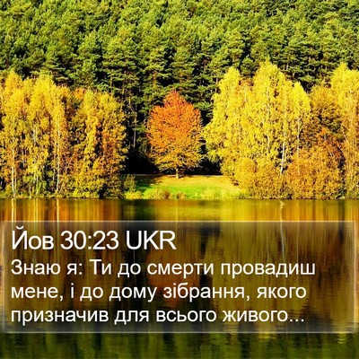 Йов 30:23 UKR Bible Verse Image
