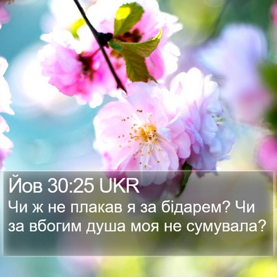 Йов 30:25 UKR Bible Verse Image