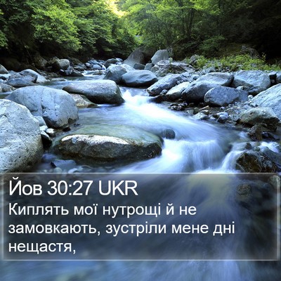 Йов 30:27 UKR Bible Verse Image
