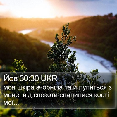 Йов 30:30 UKR Bible Verse Image
