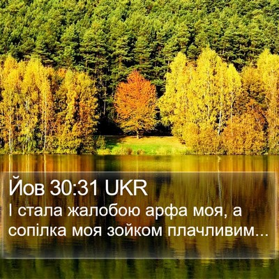 Йов 30:31 UKR Bible Verse Image