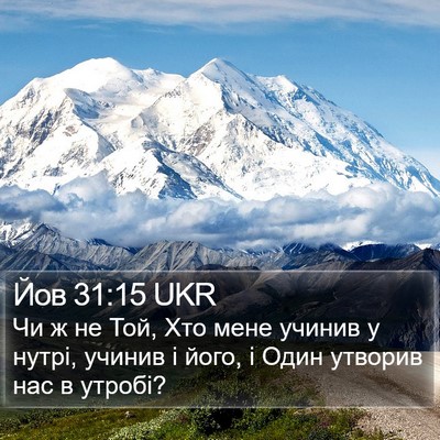 Йов 31:15 UKR Bible Verse Image