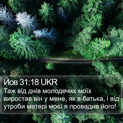 Йов 31:18 UKR Bible Verse Image