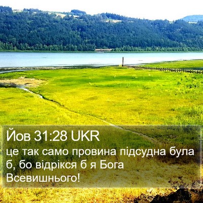 Йов 31:28 UKR Bible Verse Image