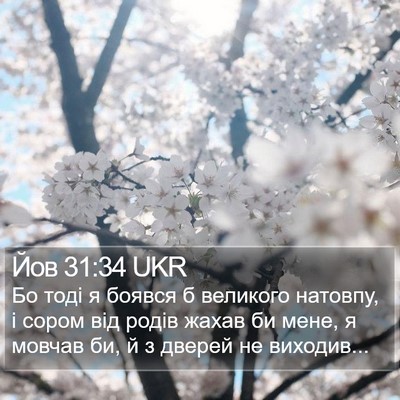 Йов 31:34 UKR Bible Verse Image