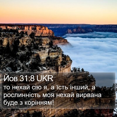 Йов 31:8 UKR Bible Verse Image
