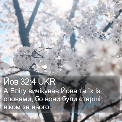 Йов 32:4 UKR Bible Verse Image
