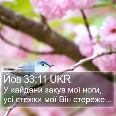 Йов 33:11 UKR Bible Verse Image