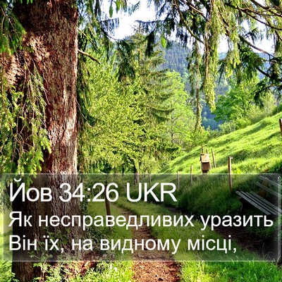 Йов 34:26 UKR Bible Verse Image