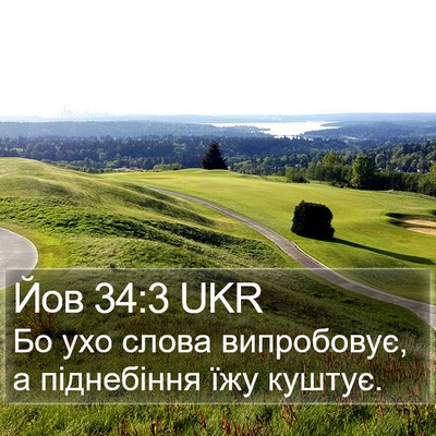 Йов 34:3 UKR Bible Verse Image