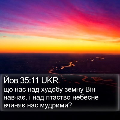 Йов 35:11 UKR Bible Verse Image