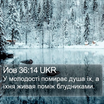 Йов 36:14 UKR Bible Verse Image