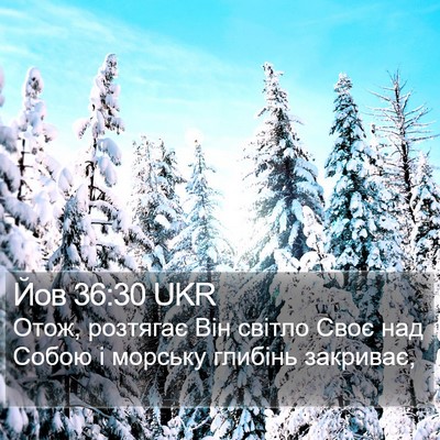 Йов 36:30 UKR Bible Verse Image