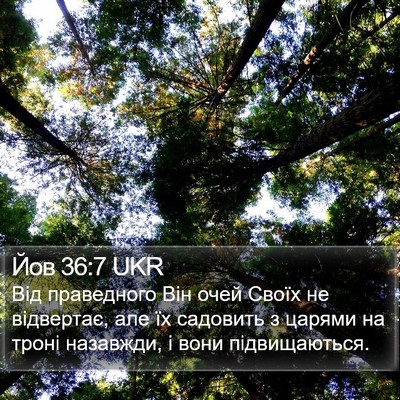 Йов 36:7 UKR Bible Verse Image