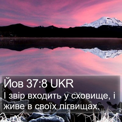 Йов 37:8 UKR Bible Verse Image